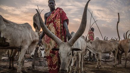 Pendant la saison sèche, l’accès à l’eau potable est difficile. Les pasteurs descendent des hautes terres vers le Nil. (STEFANIE GLINSKI / AFP)