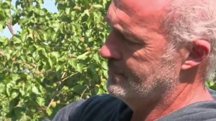 Grêle : les arboriculteurs perdent des récoltes dans le Gard (France 3)