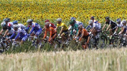 prétexte peloton TDF 2010 (JOEL SAGET / AFP)