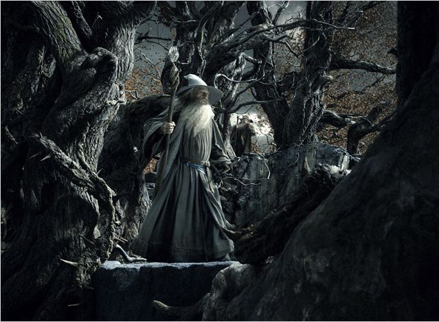 Ian McKellen dans "L e Hobbit - La Désolation de Smaug" de Peter Jackson
 (Warner Bros Entertainment)