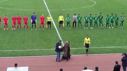 Capture d'écran de la vidéo d'un ours qui donne le coup d'envoi d'un match de foot en Russie, le 15 avril 2018. (FC ANGHUST / YOU TUBE)