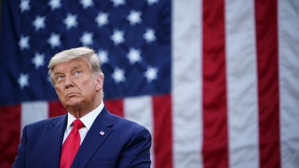 Le président américain Donald Trump,&nbsp;le 13 novembre 2020, à Washington (Etats-Unis). (MANDEL NGAN / AFP)