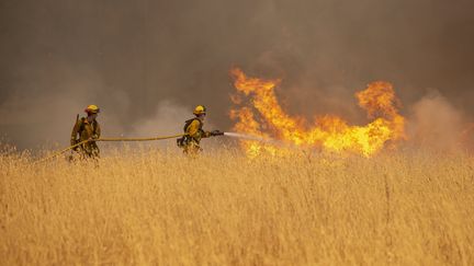 Etats-Unis : en Californie, les ravages d'incendies historiques