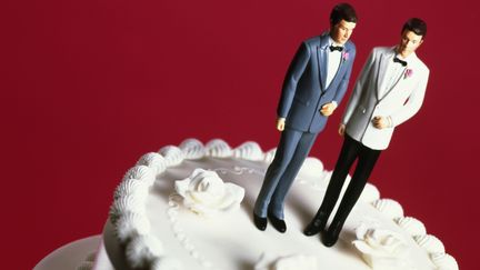 La Nouvelle-Z&eacute;lande est devenue, le 17 avril 2013, le 13e pays au monde&nbsp;&agrave; ouvrir le mariage aux couples de m&ecirc;me sexe. (GETTY IMAGES)