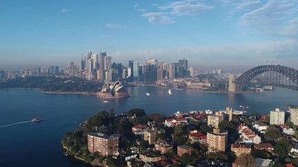 Paradis bleus : la baie de Sydney regorge de sites de plongée encore confidentiels