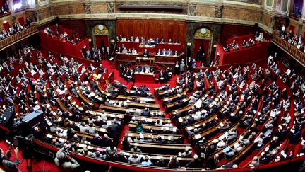 L'h&eacute;micycle du Congr&egrave;s, qui r&eacute;unit d&eacute;put&eacute;s et s&eacute;nateurs, convoqu&eacute; pour la derni&egrave;re fois en juillet 2008, &agrave;&nbsp;Versailles (Yvelines). (THOMAS COEX / AFP)