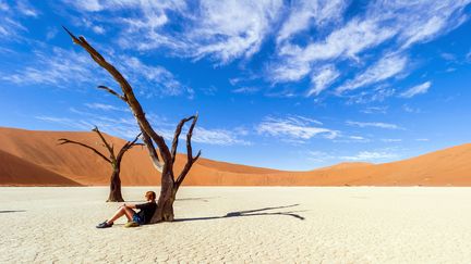 Désert du Namib : les plus anciennes dunes du monde