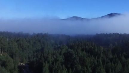 Écosse : à la découverte du parc de Cairngorms