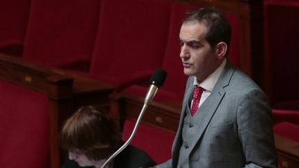 Pouria Amirshahi a été député socialiste de la 9e circonscription des français de l'étranger entre 2012 et 2017. (JACQUES DEMARTHON / AFP)