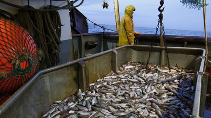 Un p&ecirc;cheur sur le pont d'un chalutier bas&eacute; &agrave; Boulogne-sur-Mer (Pas-de-Calais), le 22 octobre 2013. (PASCAL ROSSIGNOL / REUTERS)