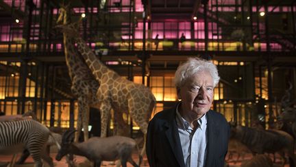 L'architecte Paul Chemetov pose le 16 septembre 2014 au Muséum d'Histoire naturelle, à Paris
 (Joël Saget / AFP)