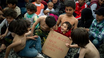 «Je voudrais aller en Allemagne»: un enfant à la frontière entre la Grèce et la Macédoine tient une pancarte avec cette inscription, écrite en allemand, lors d'une manifestation de migrants pour la réouverture des frontières le 21 mars 2016. (ANDREJ ISAKOVIC / AFP)