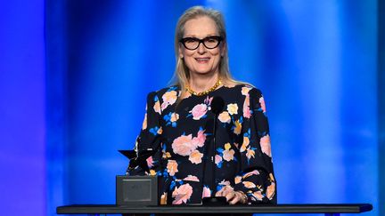 L'actrice américaine Meryl Streep le 28 avril 2024, lors d'une cérémonie à Los Angeles (Etats-Unis).  (ALBERTO E. RODRIGUEZ / GETTY IMAGES AMÉRIQUE DU NORD / AFP)