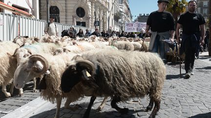 Des manifestants anti-ours dans les rues de Pau (Pyrénées-Atlantiques), le 30 avril 2018.&nbsp; (IROZ GAIZKA / AFP)