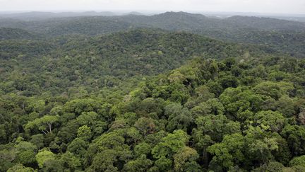 Incendies en Amazonie : les incendies pourraient accélérer les dérèglements climatiques en cours