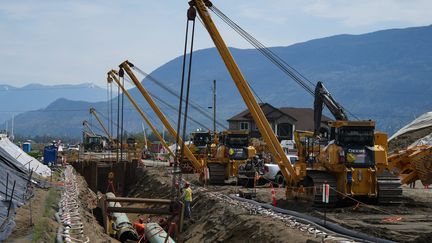 Les travaux d'extension de la pipeline Trans Mountain sur des terres à Abbotsford, en Colombie-Britannique, en mai 2023. (DARRYL DYCK / MAXPPP)