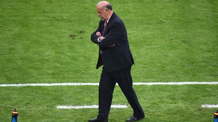 L'entraîneur espagnol Vicente del Bosque (YASUYOSHI CHIBA / AFP)