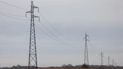 Le réseau de transport d'électricité, en Vendée, géré par RTE (MATHIEU THOMASSET / HANS LUCAS)