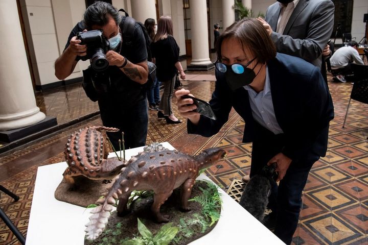 Des journalistes photographient des modèles réduits du Stegouros elengassen, une nouvelle espèce de dinosaure, lors d'une présentation à Santiago du Chili, le 1er décembre 2021. (MARTIN BERNETTI / AFP)