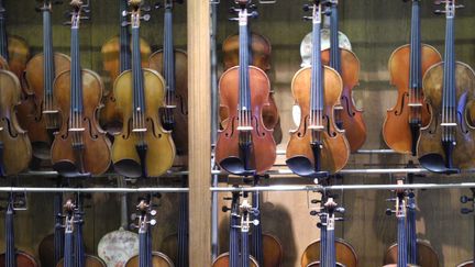 Vitrine d'un luthier parisien, Guy Coquoz.
 (Lorenzo Ciavarini Azzi/Culturebox)