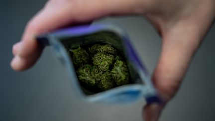 Le cannabis peut soulager les personnes souffrant entre autres de nausée, d’insomnie, de cancers, de stress post-traumatique, de la maladie de Parkinson. (FABRICE COFFRINI / AFP)