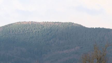 Crash du Mont Sainte-Odile : une cérémonie organisée pour les trente ans de l’une des pires catastrophes aériennes