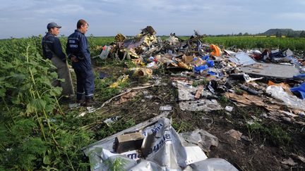 Des employ&eacute;s de l'Etat ukrainien sur le site du crash du vol MH17 &agrave;&nbsp;Rassipnoe (Ukraine), le 17 juillet 2014. (DOMINIQUE FAGET / AFP)