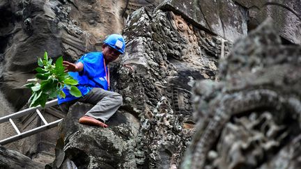 Un jardinier-acrobate&nbsp;à l'œuvre, perché sur le grand temple d'Angkor Wat, le 12 octobre 2020 (TANG CHHIN SOTHY / AFP)