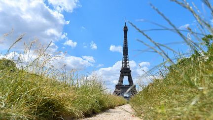 La tour Eiffel, vue depuis le Champ-de-Mars, le 25 mai 2020. (JULIEN MATTIA / LE PICTORIUM / MAXPPP)