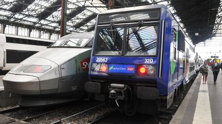 Un TGV et un Ter bloqu&eacute;s en gare de Lyon le 10 juin 2014, lors de la gr&egrave;ve des cheminots.&nbsp; (CITIZENSIDE/YANN KORBI / AFP)