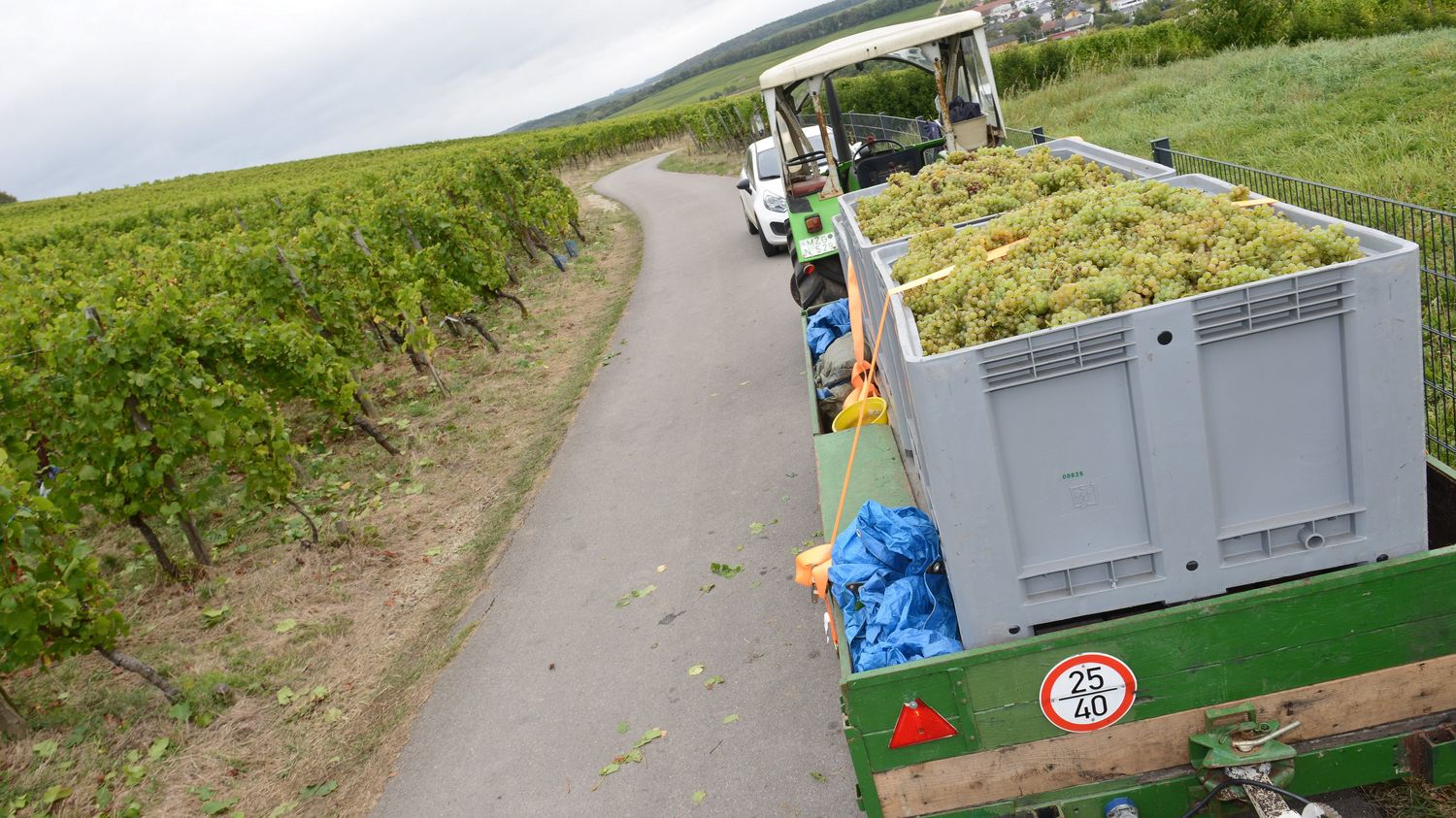 Le Luxembourg Supprime Le Glyphosate : "On Espère Que Le Consommateur ...