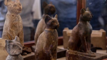 Egypte : de nouvelles momies découvertes