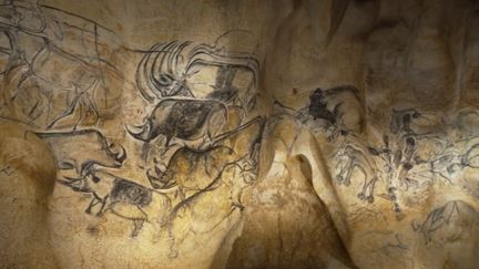 Ardèche : il y a 30 ans, trois spéléologues amateurs découvraient la Grotte Chauvet (france 2)