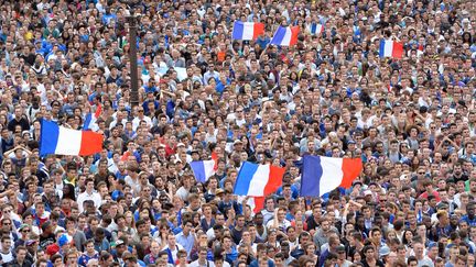 Des supporters regardent un match de football de la Coupe du monde, sur le parvis de l'hôtel de ville de&nbsp;Paris, le 4 juillet 2014. (MIGUEL MEDINA / AFP)