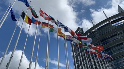 Le Parlement européen à Strasbourg. (JULIEN PASQUALINI / FRANCE-INFO)