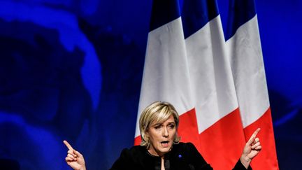 La candidate du Front national pour la présidentielle, Marine Le Pen, prononce un discours lors d'un meeting à Lyon (Rhône), le 5 février 2017. (JEFF PACHOUD / AFP)