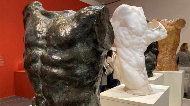 Exposition Rodin Bourdelle, Corps à corps au musée Bourdelle à Paris en octobre 2024 (VALERIE GAGET / FRANCEINFO CULTURE)