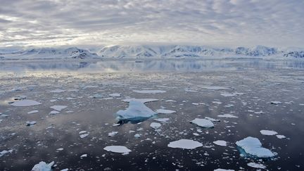 L'Antarctique vu d'un glacier à Chiriguano Bay, dans les îles Shetland du Sud,&nbsp; le 7 novembre 2019. (photo d'illustration) (JOHAN ORDONEZ / AFP)