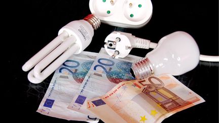 &nbsp; (En avril, le Conseil d'Etat avait invalidé l'arrêté limitant à 2% la hausse des tarifs de l'électricité. © MAXPPP/Julio Pelaez)