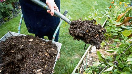 Un engrais qui ne diffusera pas de maladies au jardin, grâce à un compostage dans les règles de l'art. (FRANCESCA YORKE / PHOTOLIBRARY RM / GETTY IMAGES)