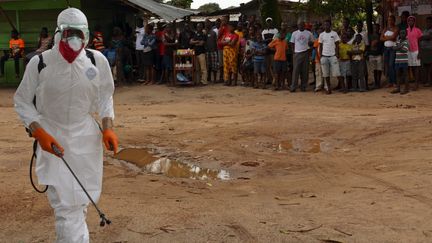 Un employ&eacute; de la Croix-Rouge d&eacute;sinfecte une cour, &agrave; Monrovia (Liberia), le 10 septembre 2014. (ZOOM DOSSO / AFP)