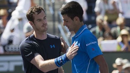 Andy Murray félicite Novak Djokovic pour sa victoire en demi-finale du Masters 1000 d'Indian Wells (2015)