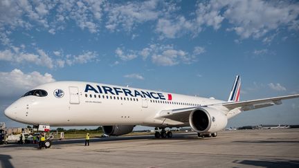 Un Airbus A350 d'Air France à l'aéroport Roissy-Charles-de-Gaulle (Seine-Saint-Denis), le 18 juillet 2023. (BERTRAND GUAY / AFP)