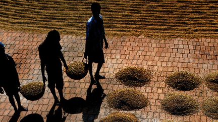 Reza, Inde, Coorg District, village de Poli betta, 9 janvier 2013, photographie
 (Reza/Webistan )