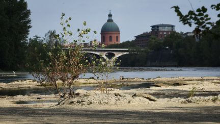 Les records de températures ont entraîné d'intenses épisodes de sécheresse en France, comme l'illustre le niveau très bas de la Garonne à Toulouse, le 25 août 2022. (VALENTINE CHAPUIS / AFP)