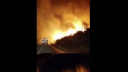 Incendie en Bretagne : la forêt de Brocéliande part en fumée (FRANCE 2)