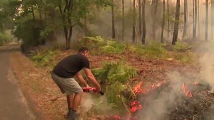 Incendies en Gironde : la commune d'Origne entièrement évacuée (FRANCE 2)