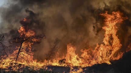 Feux de forêts autour du village de Vati, dans le sud de l'île de Rhodes, en Grèce, le 25 juillet. (SPYROS BAKALIS / AFP)