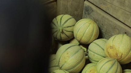 Alimentation : le melon, fruit star de l'été