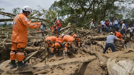 Coulée de boue en Colombie : une course contre la montre engagée en quête de survivants